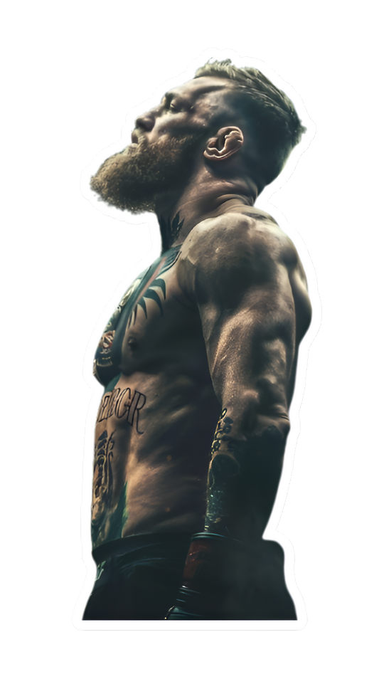 Conor MeGregor sticker